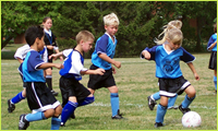 Nutritional Concepts - School Sports